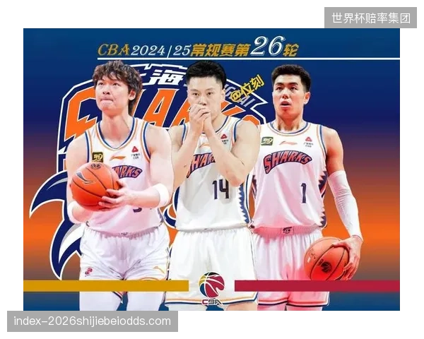 球队阵容年龄结构合理，具备在高强度赛会制比赛中维持体能的能力。